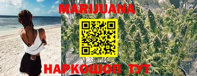 крисы Можайск