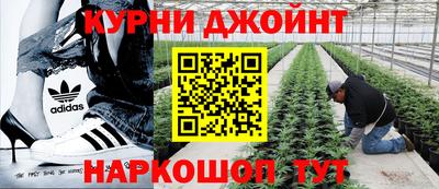 крисы Можайск